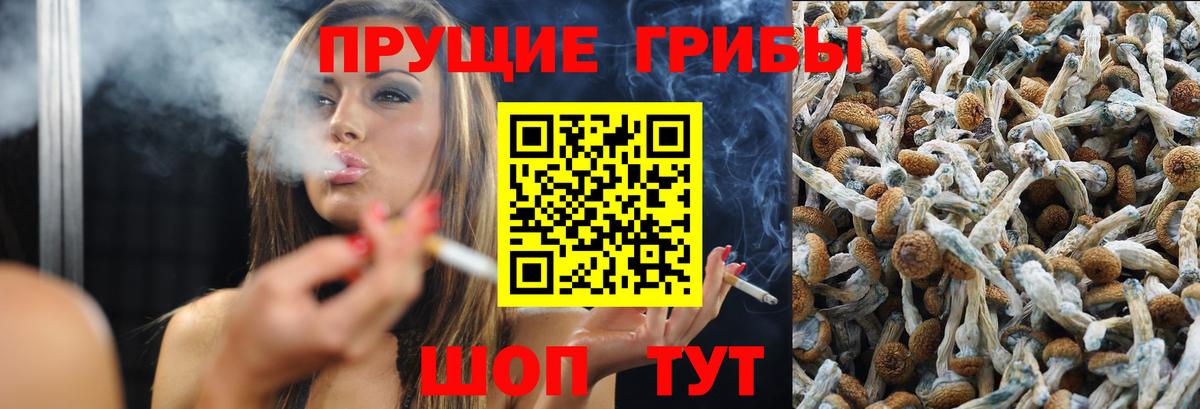 Псилоцибиновые грибы Cubensis  Галлюциногенные грибы GOLDEN TEACHER  Советск  Вход с VPN 