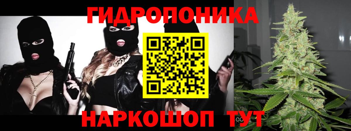 Конопля OG Kush Советск